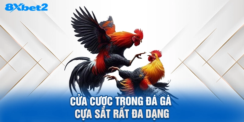 Cửa cược trong đá gà cựa sắt rất đa dạng