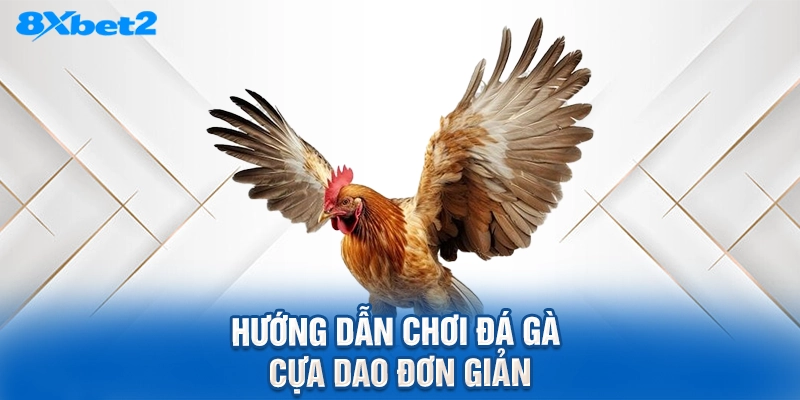 Hướng dẫn chơi đá gà cựa dao đơn giản