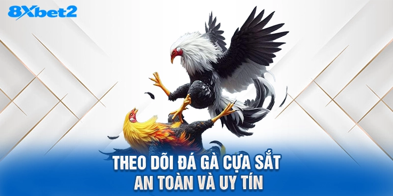 Theo dõi đá gà cựa sắt an toàn và uy tín