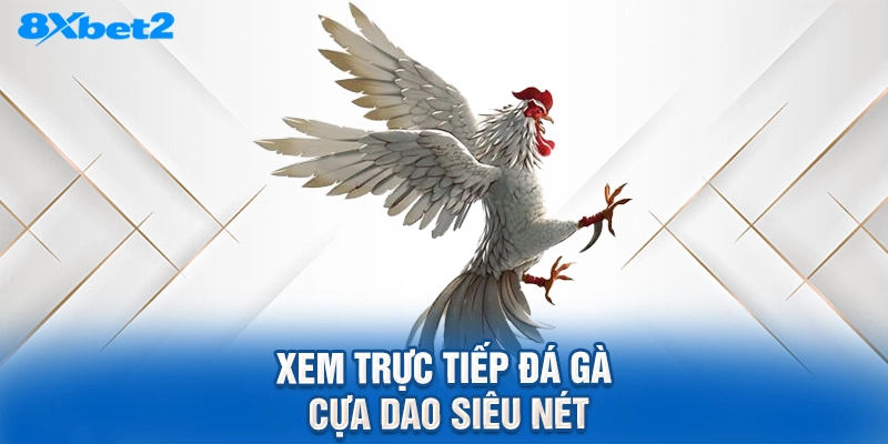 Xem trực tiếp đá gà cựa dao siêu nét