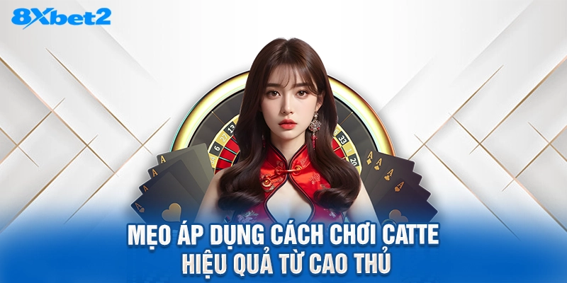mẹo áp dụng cách chơi catte hiệu quả từ cao thủ