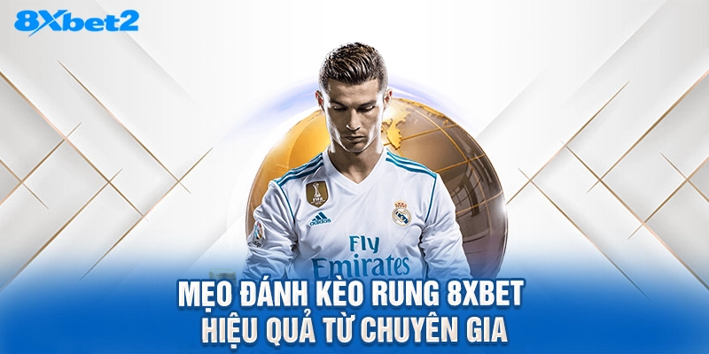 mẹo đánh kèo rung 8XBET hiệu quả từ chuyên gia
